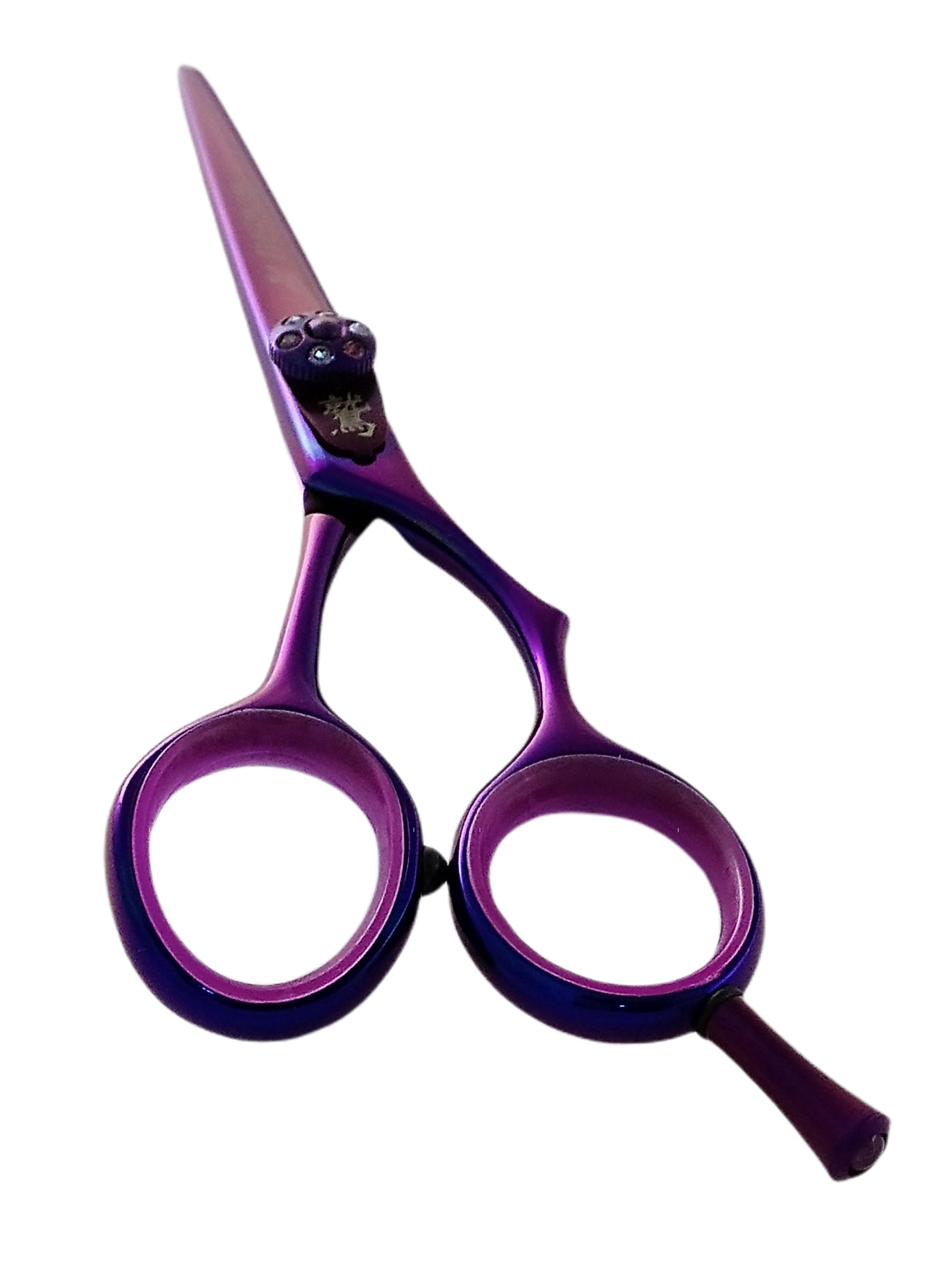 Hair-Scissors with color no. 9F09(P)